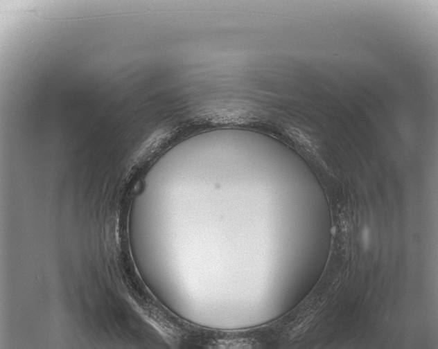 X0000060570686200511101630