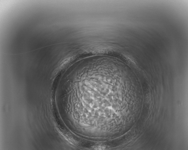 X0000060570687200511101630