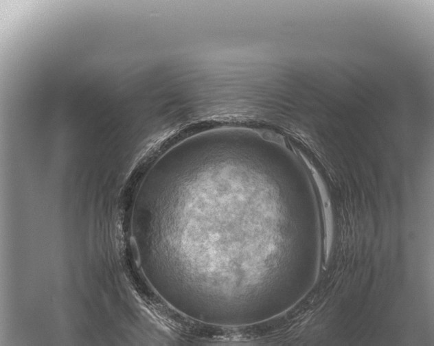 X0000060570688200511101630