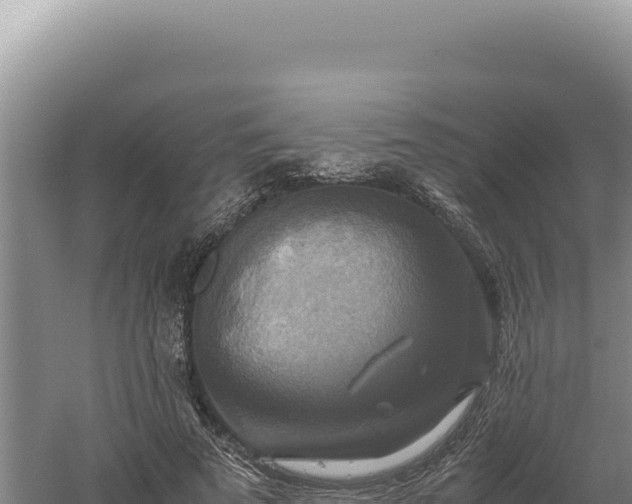 X0000060570689200511101630