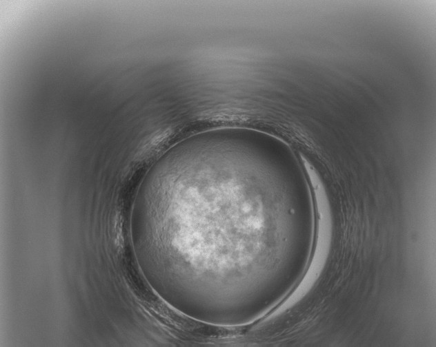 X0000060570692200511101630