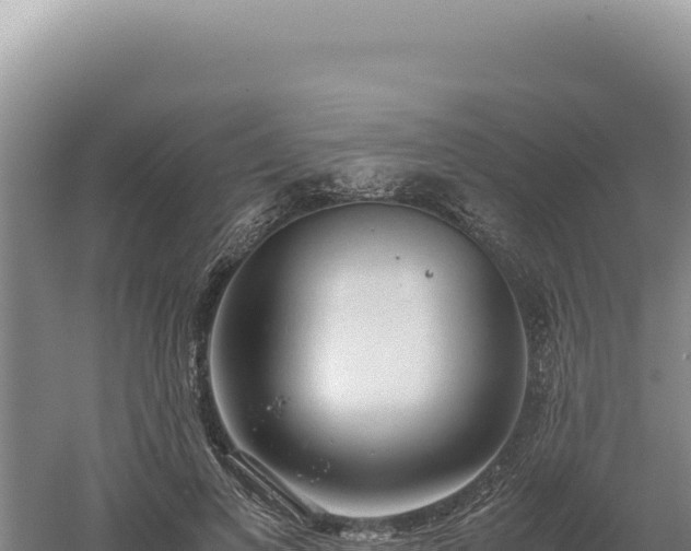 X0000060570693200511101630