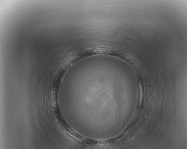 X0000060570696200511101630