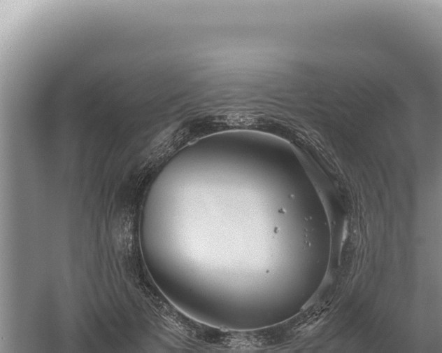 X0000060570697200511101630