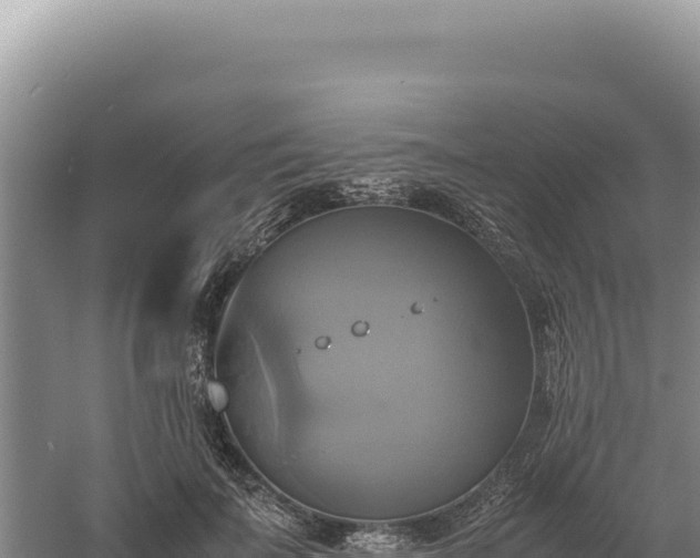 X0000060570699200511101630