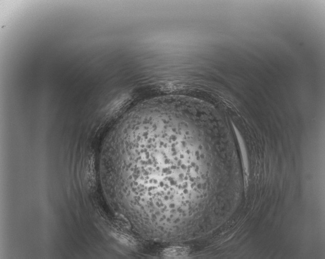 X0000060570700200511101630