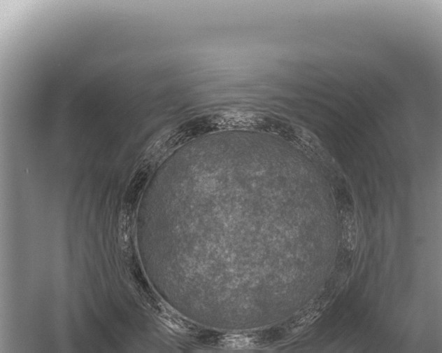 X0000060570701200511101630