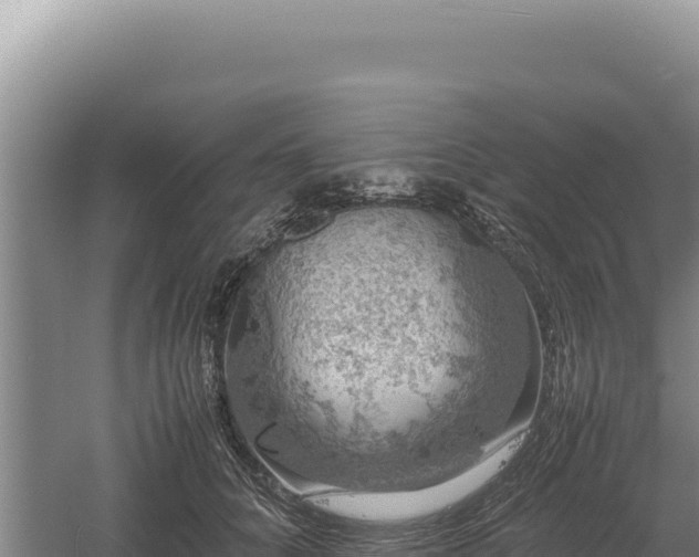 X0000060570704200511101630