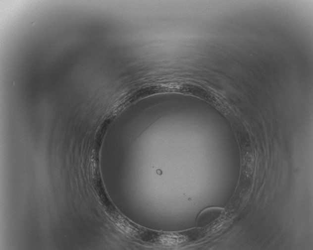 X0000060570707200511101630