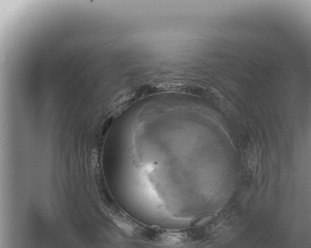 X0000060570711200511101630