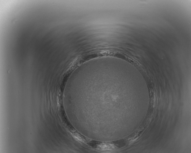 X0000060570712200511101630