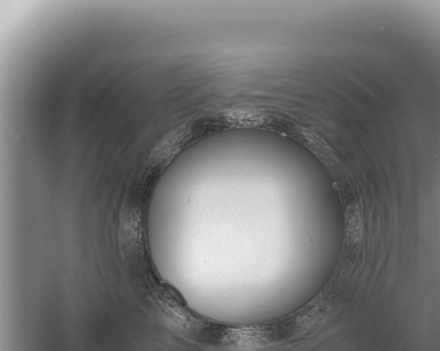 X0000060570713200511101630