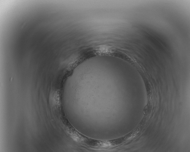 X0000060570715200511101630