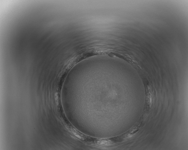 X0000060570716200511101629