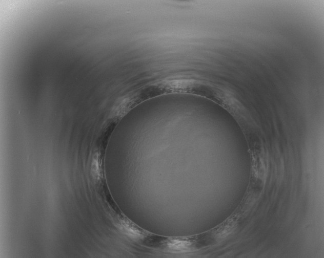 X0000060570718200511101629