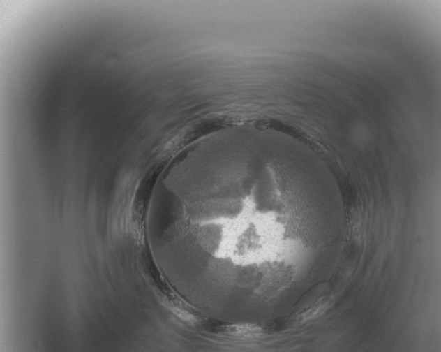 X0000060570719200511101629