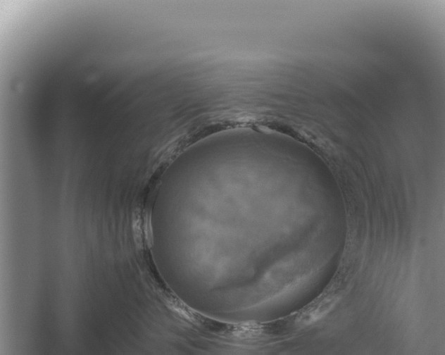 X0000060570720200511101629