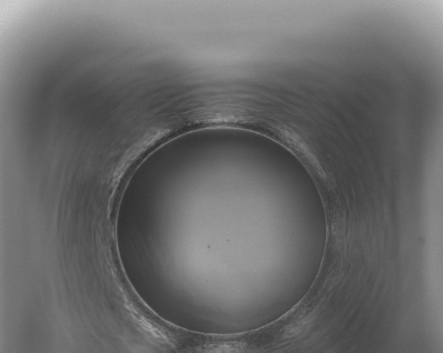 X0000060570721200511101629