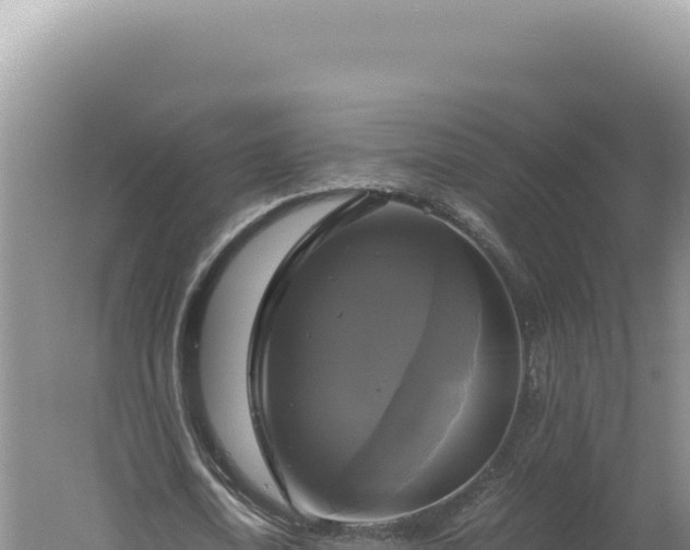 X0000060570722200511101629