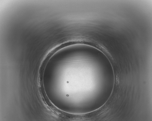 X0000060570724200511101629