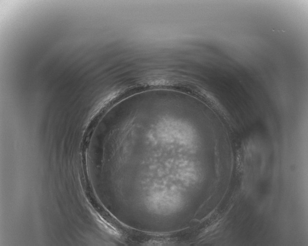 X0000060570725200511101629