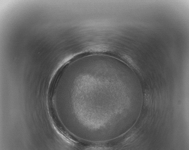 X0000060570726200511101629