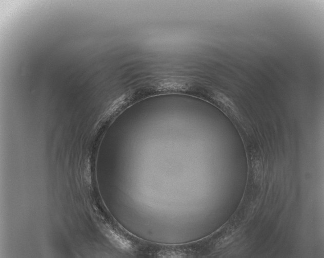 X0000060570729200511101629