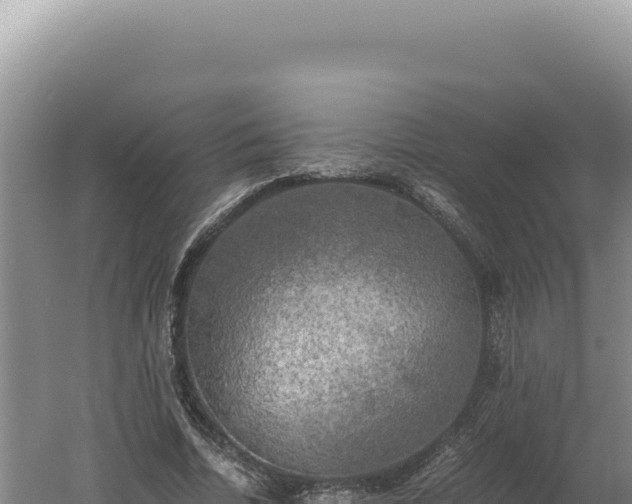 X0000060570730200511101629