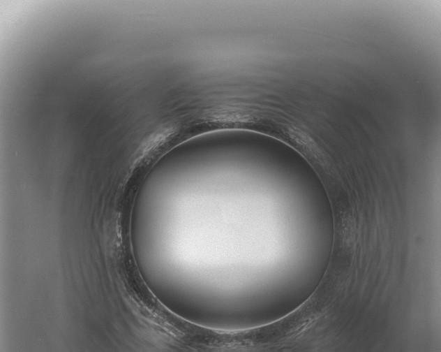 X0000060570731200511101629