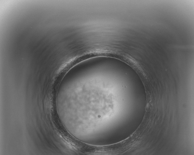 X0000060570732200511101629