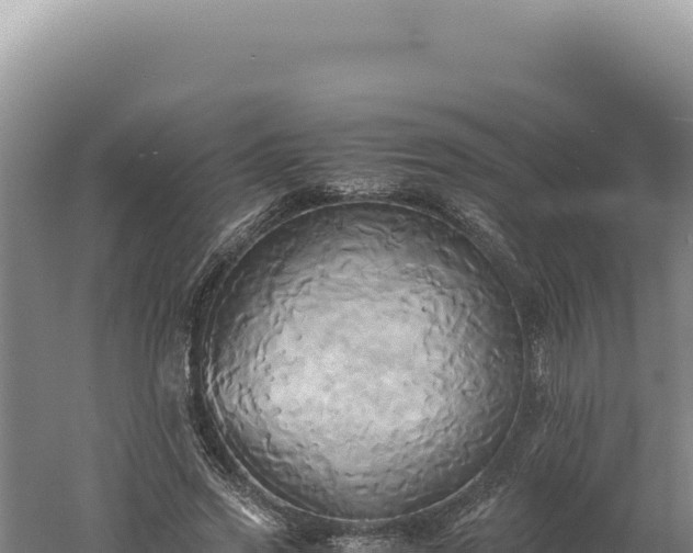 X0000060570733200511101629