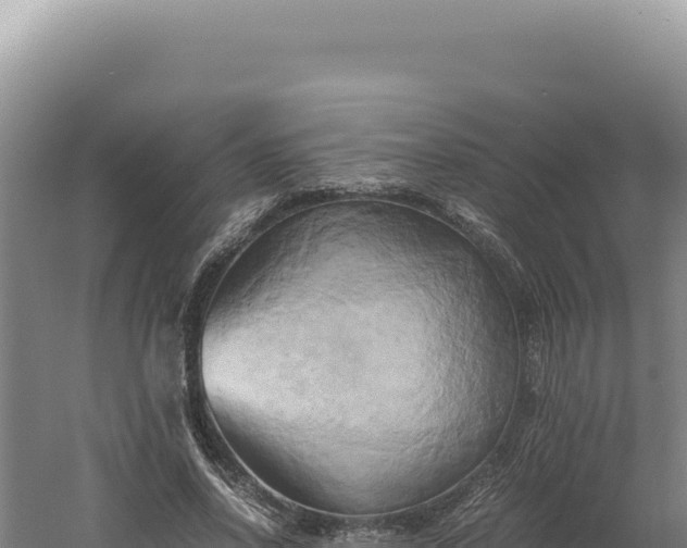 X0000060570734200511101629