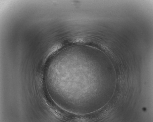 X0000060570735200511101629