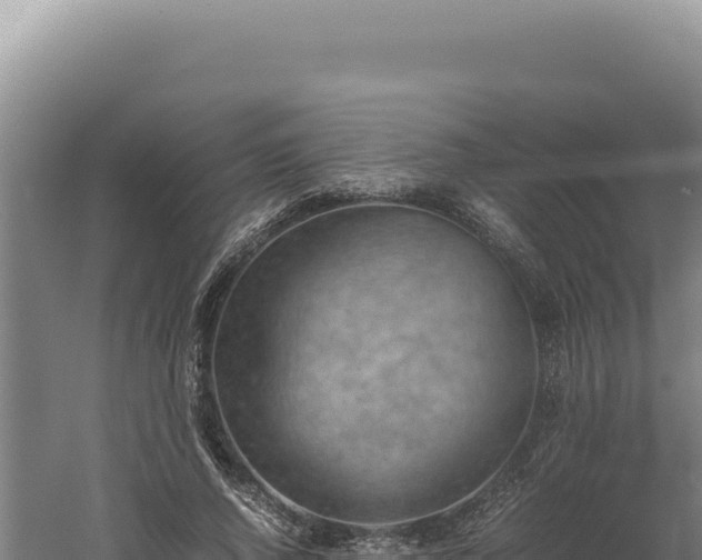 X0000060570736200511101629