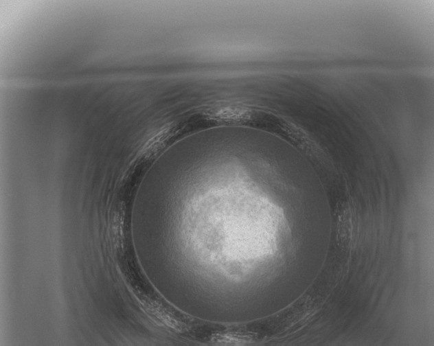 X0000060570739200511101629