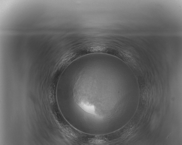 X0000060570743200511101629