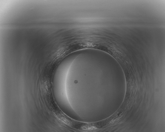 X0000060570747200511101629