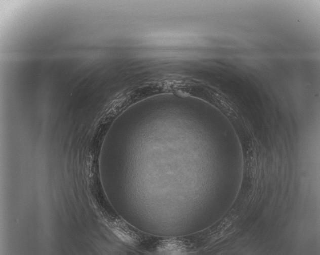 X0000060570750200511101629