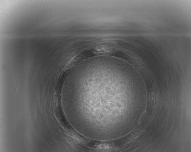 X0000060570751200511101629