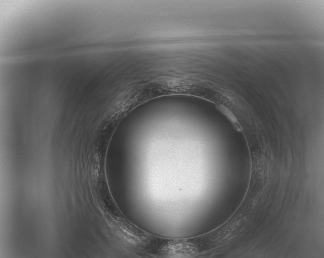 X0000060570752200511101629