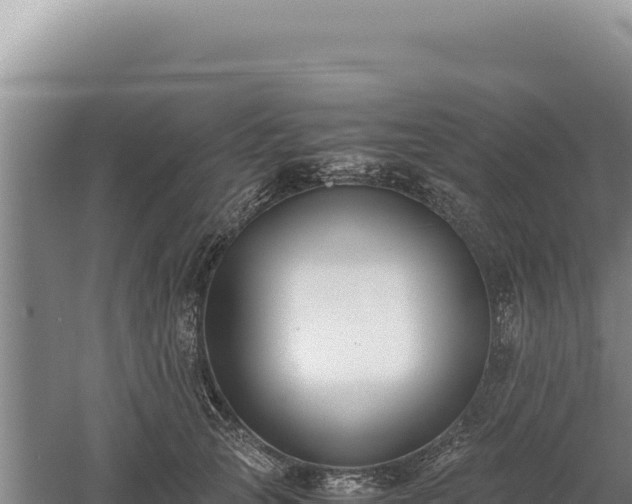 X0000060570753200511101629