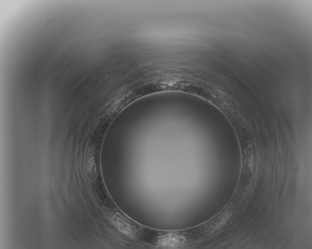 X0000060570754200511101629