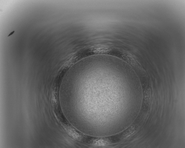 X0000060570755200511101629