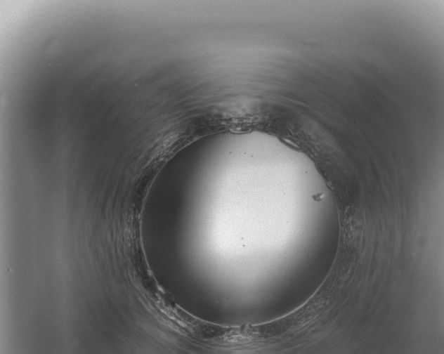 X0000060570756200511101629