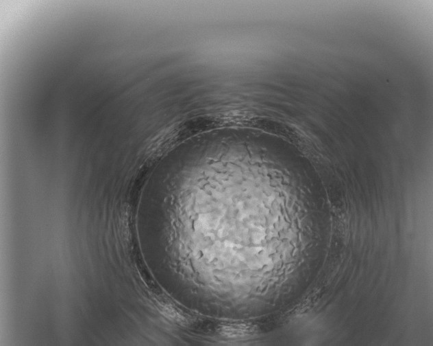 X0000060570757200511101629