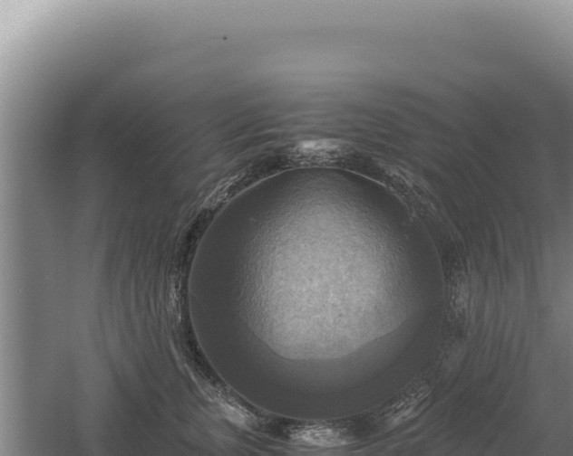 X0000060570759200511101629