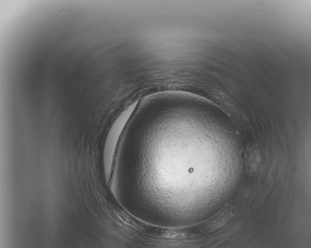 X0000060570760200511101629