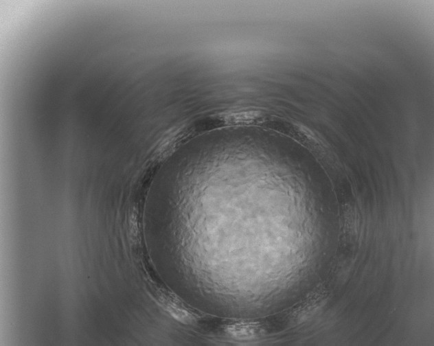 X0000060570761200511101629