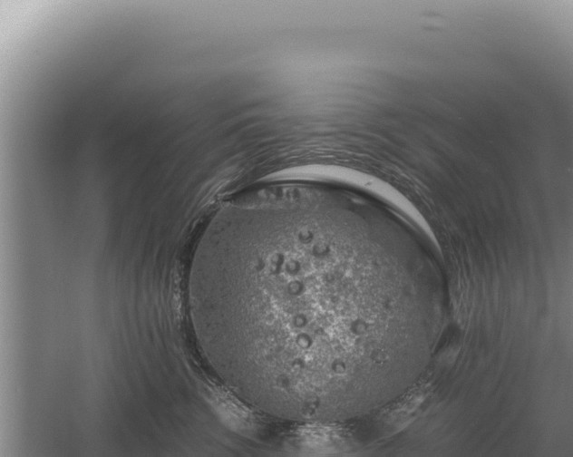 X0000060570762200511101629