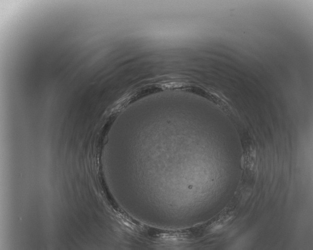 X0000060570763200511101629